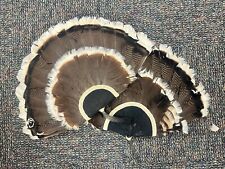 Lot turkey tail for sale  Omaha