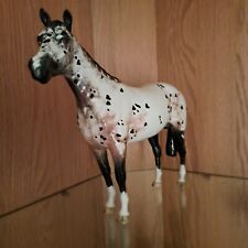 Beswick appaloosa stallion for sale  MANCHESTER