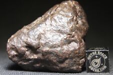 Nwa unclassified meteorite for sale  Rumson