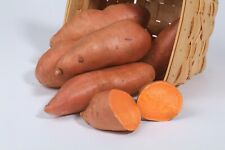Sweet potato slips for sale  Bossier City