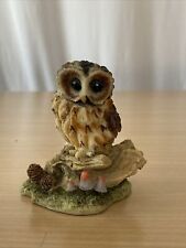 Tawny owl arden for sale  SOUTH CROYDON