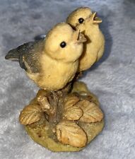 Baby chicks c for sale  STOCKPORT