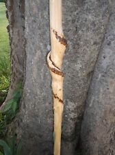 Tennessee walking stick for sale  Hollow Rock
