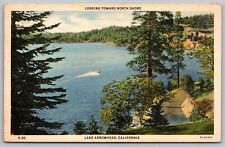 North Shore Lake Arrowhead California Forest Waterfront Boat Vintage Postcard for sale  Shipping to South Africa