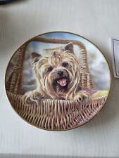 Yorkshire terrier plate for sale  BOLTON