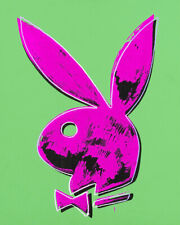 Poster Art Andy Warhol Coelhinha Da Playboy Estampa de Arte Popart, usado comprar usado  Enviando para Brazil