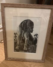 Tunnicliffe framed reproductio for sale  UK