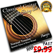 Classical nylon guitar for sale  WINSFORD