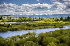 Trifecta rivers missouri for sale  Livingston