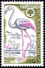 1634 flamant rose d'occasion  France
