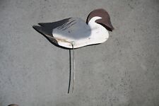 Pintail drake field for sale  Lincoln City