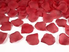 500 petali rosa usato  Chieti