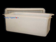 Usado, Tupperware Bread Keeper recipiente retangular transparente EUA Tupper Vintage 171 172 Excelente estado usado comprar usado  Enviando para Brazil