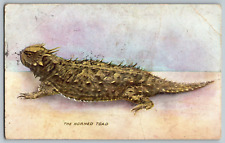 Horned toad vintage for sale  Columbus