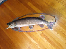 Northern pike real for sale  Putnam Valley