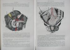 Traité anatomie humaine d'occasion  La Rivière-de-Corps