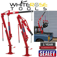 Sealey crane static for sale  Shipping to Ireland