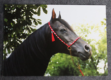 Postkarte black fashion gebraucht kaufen  Limburg