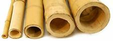 Canne di Bamboo Gigante - 100 - 150 - 200 - 300 cm - Bambù - canna arredamento usato  Prato