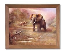 African elephant safari for sale  Springdale