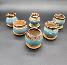 6 macetas de cerámica macetas suculentas con drenaje nueva caja abierta segunda mano  Embacar hacia Argentina