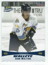 2014 toledo walleye for sale  New Kingstown