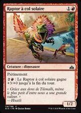 Raptor col solaire d'occasion  Lesneven