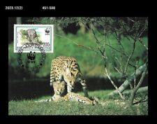 Tarjeta máxima temática de gato grande, tigre o leopardo o guepardo, vida silvestre, naturaleza, animal segunda mano  Embacar hacia Argentina