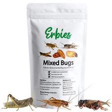 Edible bugs mixed for sale  Shipping to Ireland
