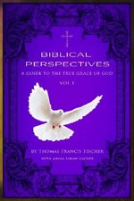 Biblical perspectives guide for sale  UK