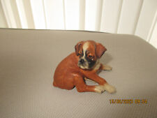 boxer pups for sale  BICESTER