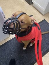 Biothane dog muzzle for sale  BLACKBURN