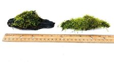 Count living moss for sale  Sequim