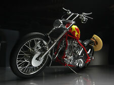 Harley davidson motorcycle for sale  Dyer