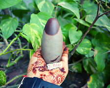 Shiva lingam agate for sale  Shipping to Ireland