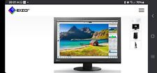 Używany, EIZO ColorEdge CS2420 24,1" WUXGA, IPS LCD, Adobe RGB 99% na sprzedaż  Wysyłka do Poland