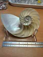 Split Polished Pearl Nautilus Shell Aprox. 4.5" for sale  Shipping to South Africa
