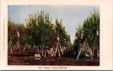 Postcard oregon apple for sale  Sebring