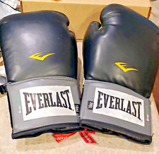 everlast boxing equipment for sale  Conway