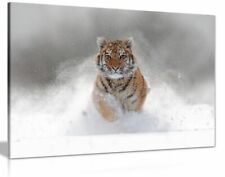 Siberian tiger running for sale  LONDON