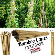 Bamboo garden cane for sale  Shipping to Ireland