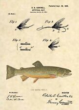 Brook trout fishing for sale  New Haven