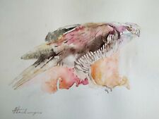 Sparrowhawk birds watercolor for sale  Granada Hills