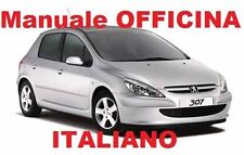 Peugeot 307 manuale usato  Val Di Nizza