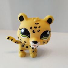 petshop jaguar d'occasion  Montbéliard
