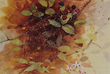 Brambles cobweb book for sale  COLNE