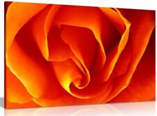 Floral orange rose for sale  LONDON