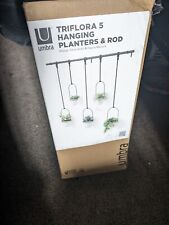 Umbra triflora hanging for sale  TELFORD