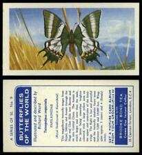 Teinopalpus Imperialis #9 Butterflies Of The World 1964 Brooke Bond Tea Card for sale  Shipping to South Africa