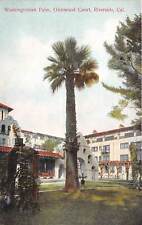 Postal Riverside California c1910 Washingtonian Palm Glenwood Court segunda mano  Embacar hacia Argentina